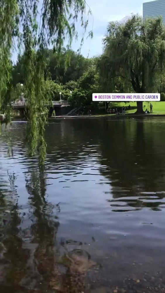 Boston Public Garden