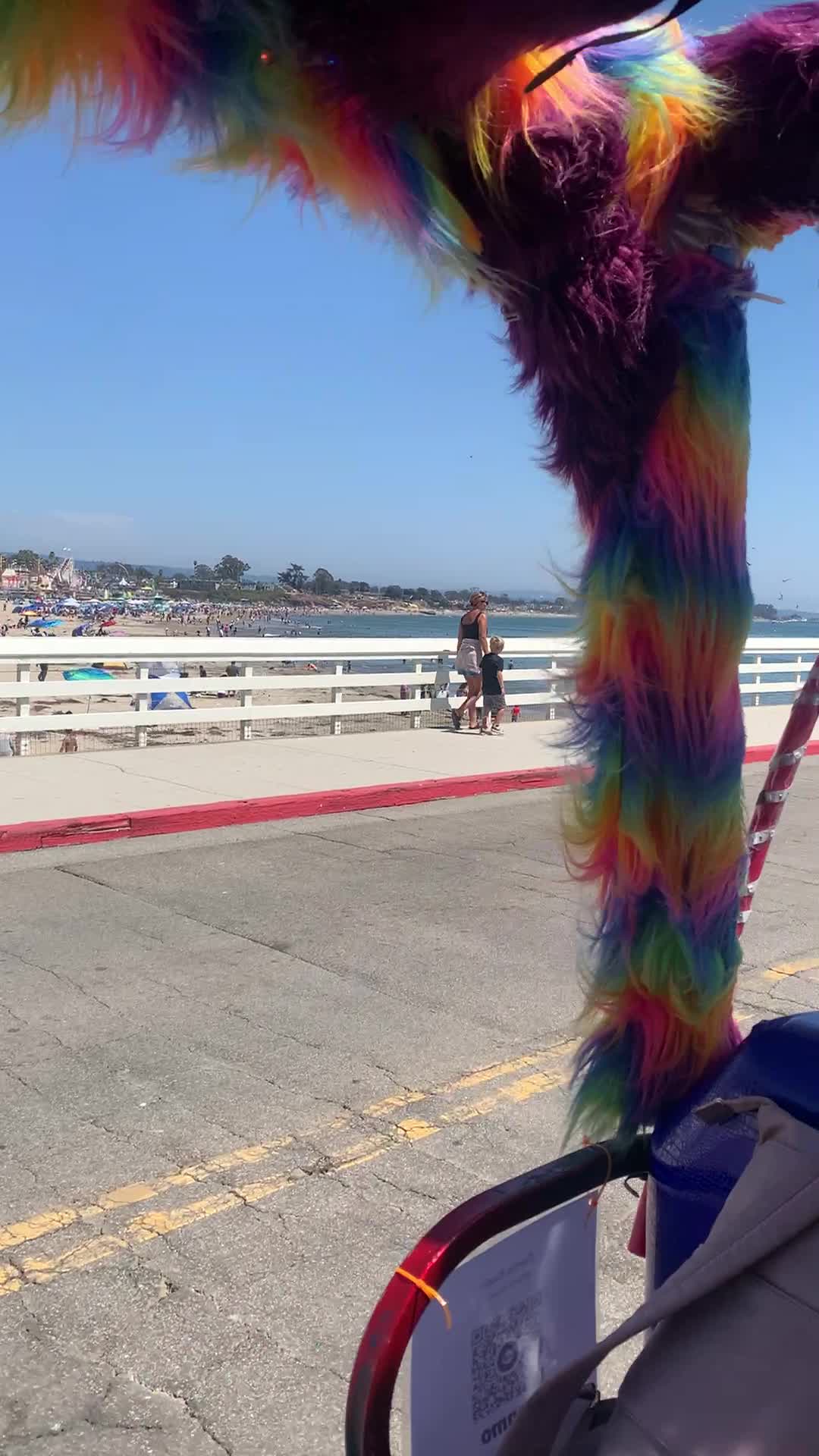 Video review of Ideal Espresso Bar