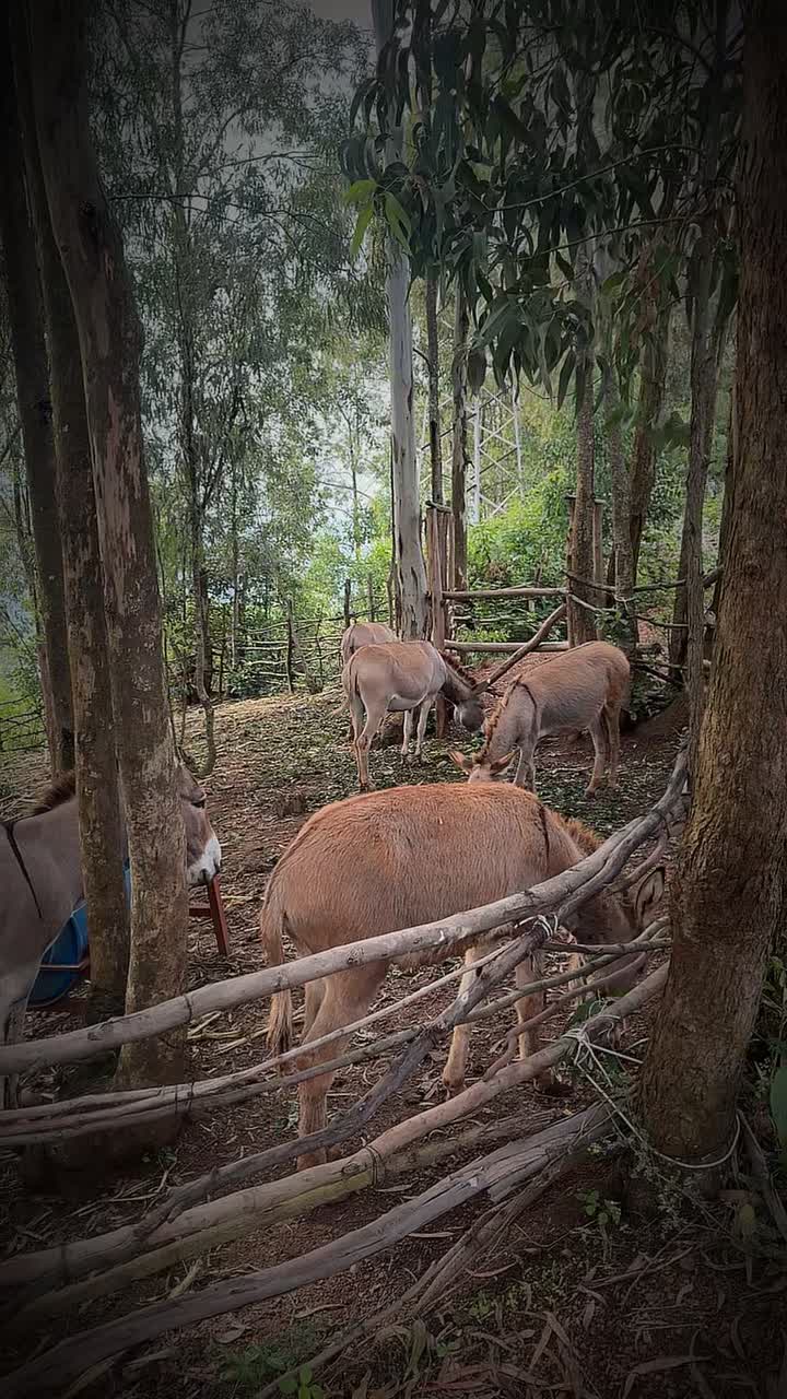 Choose Kigali Fine Dining