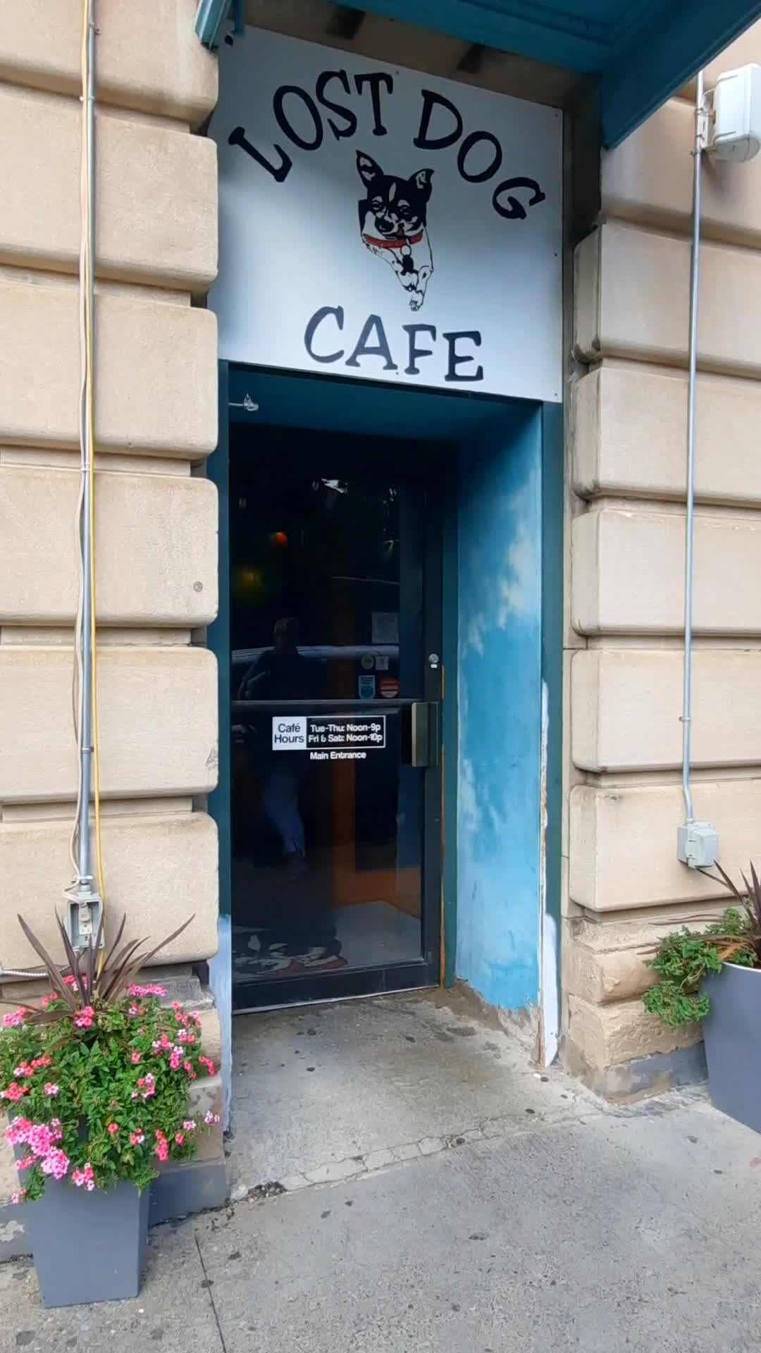 Video review of Lost Dog Café