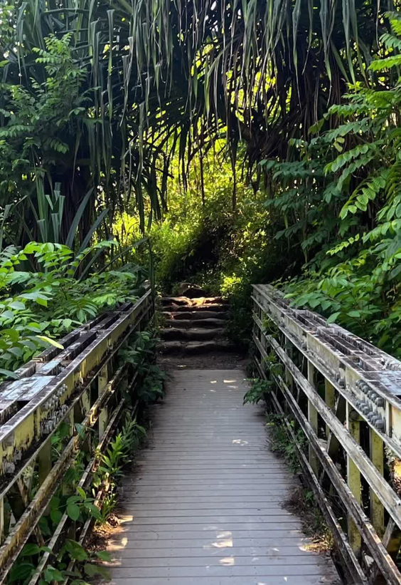 Waimoku Falls