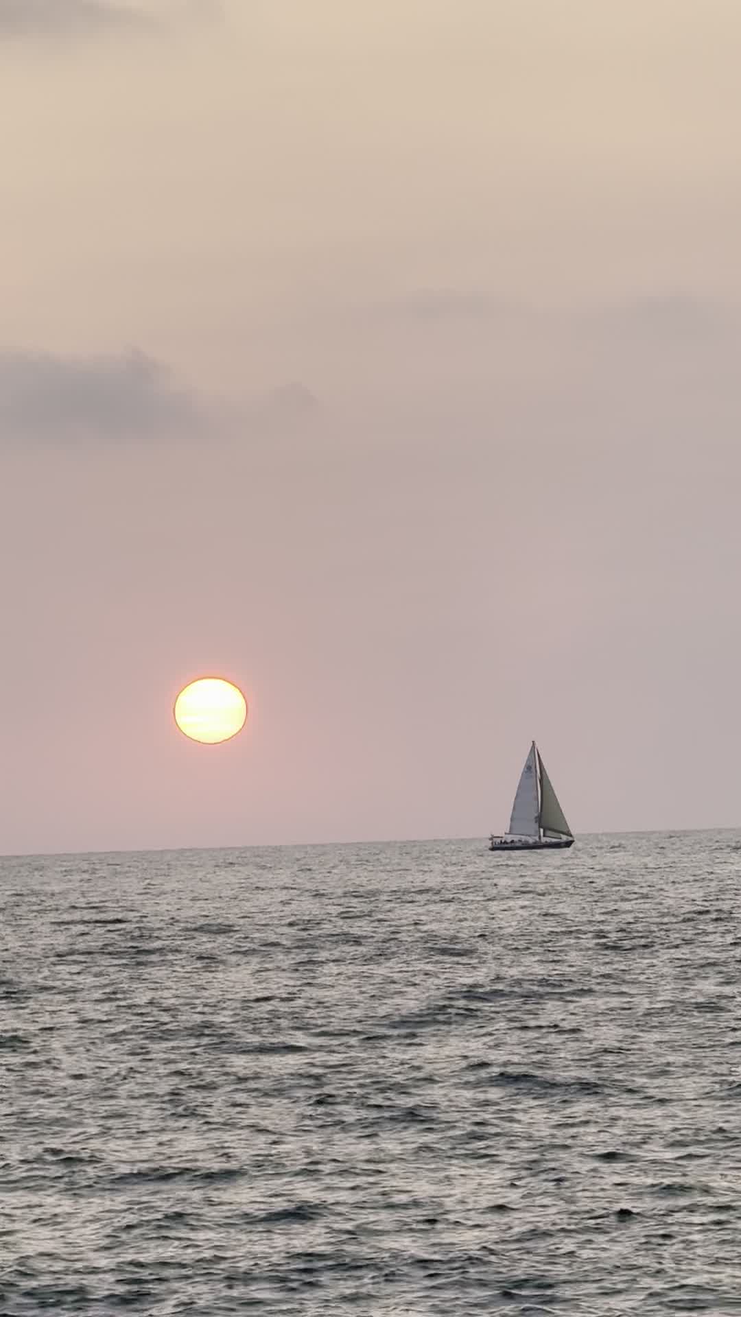 Video review of Banana Beach (בננה ביץ')