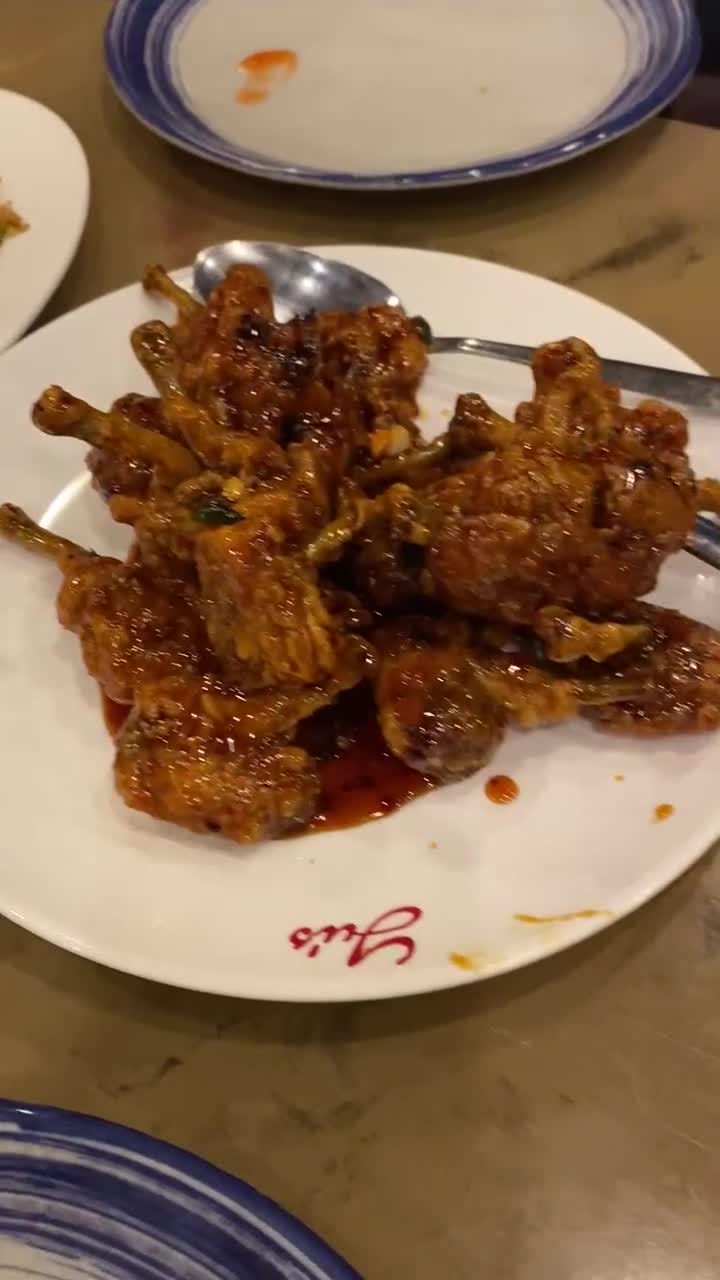 Video review of Yu's Mandarin