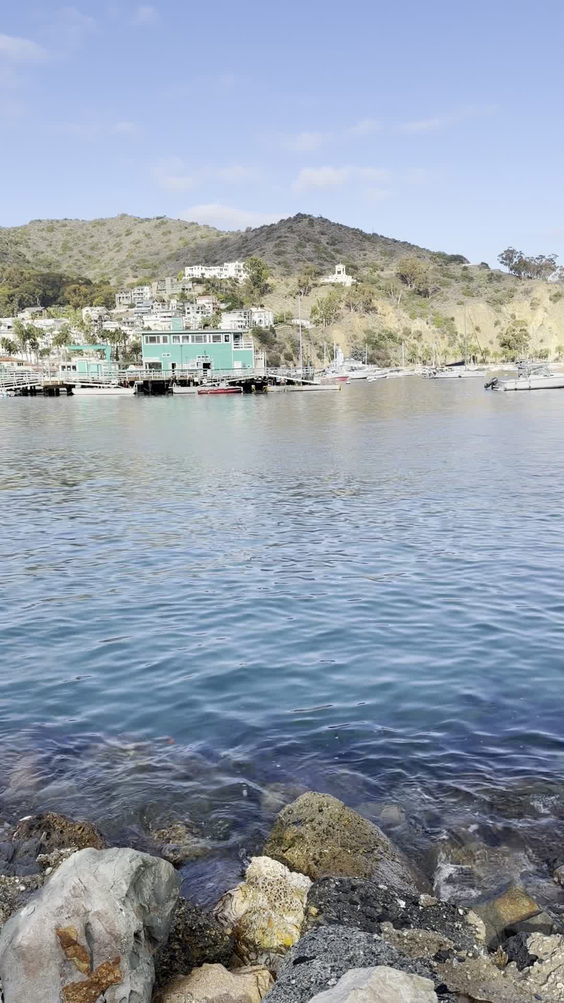 Avalon Harbor