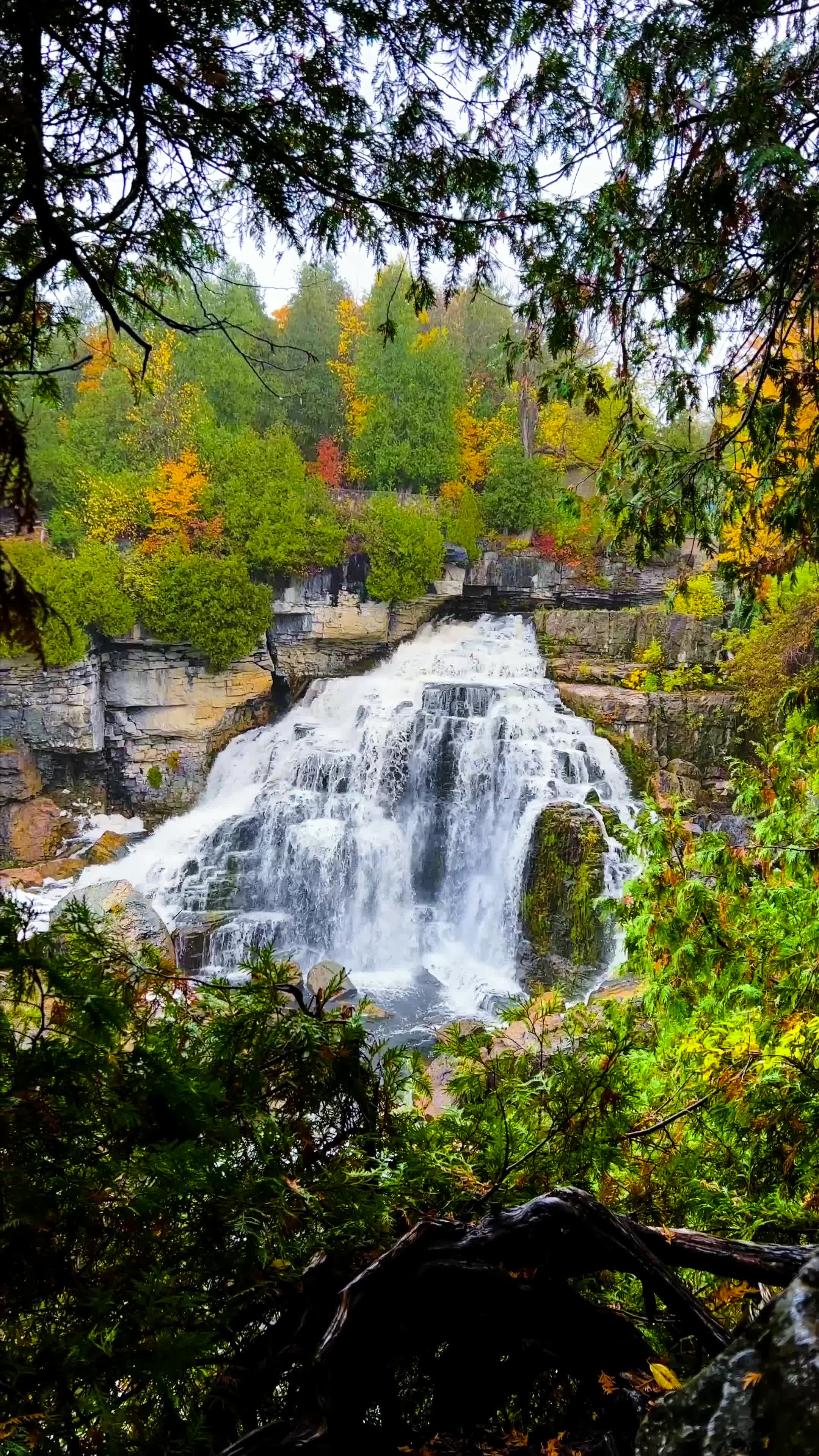Inglis Falls Conservation Area