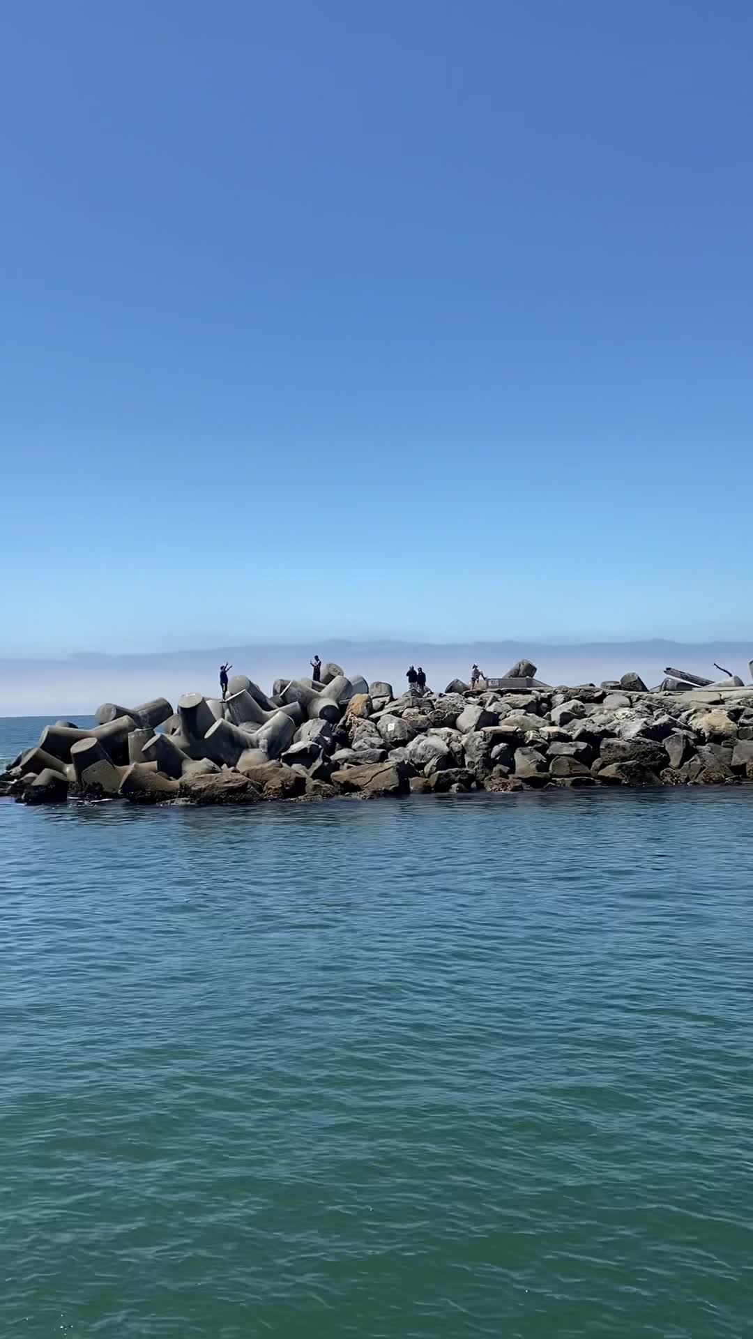 Chardonnay Sailing Charters