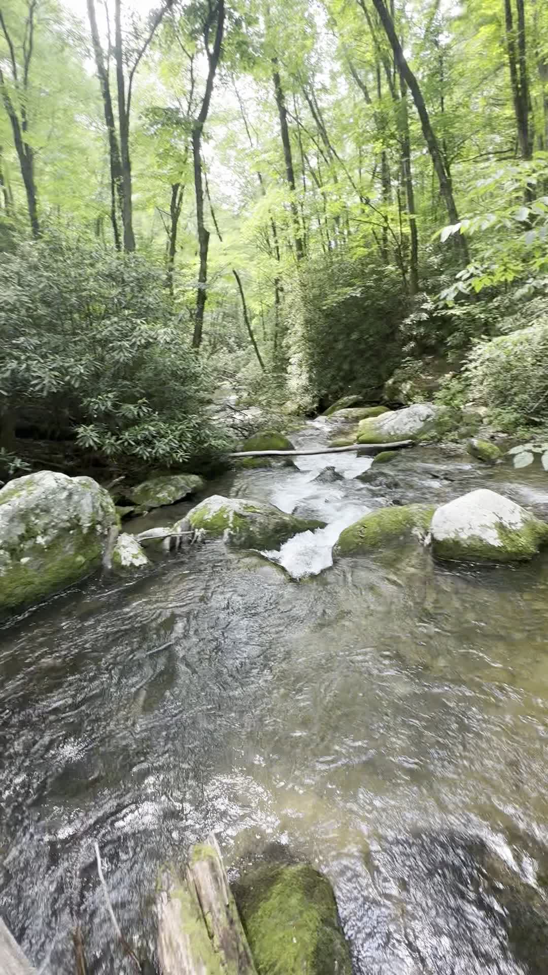 tallulah falls !