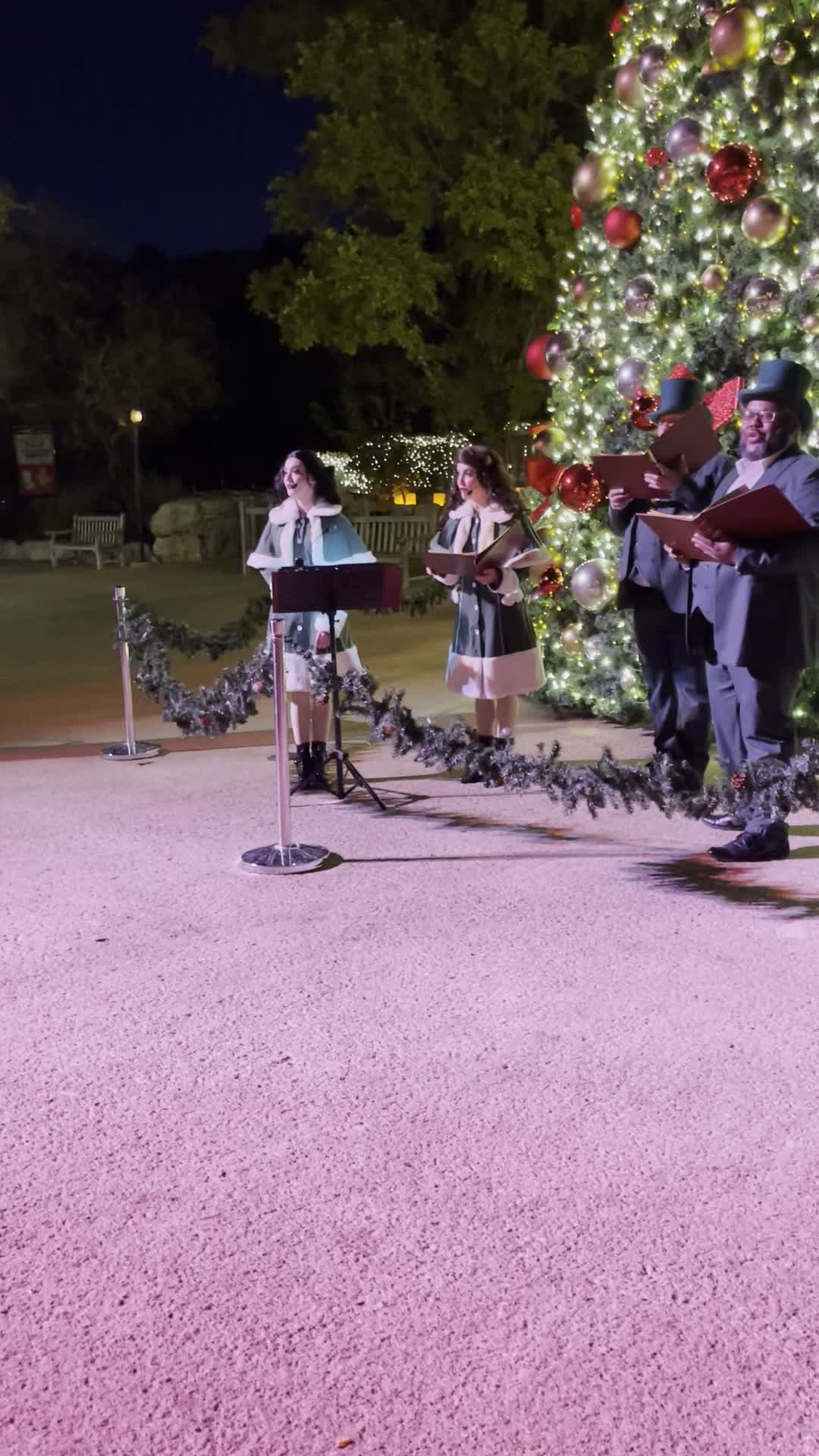 Video review of The Gully Washer