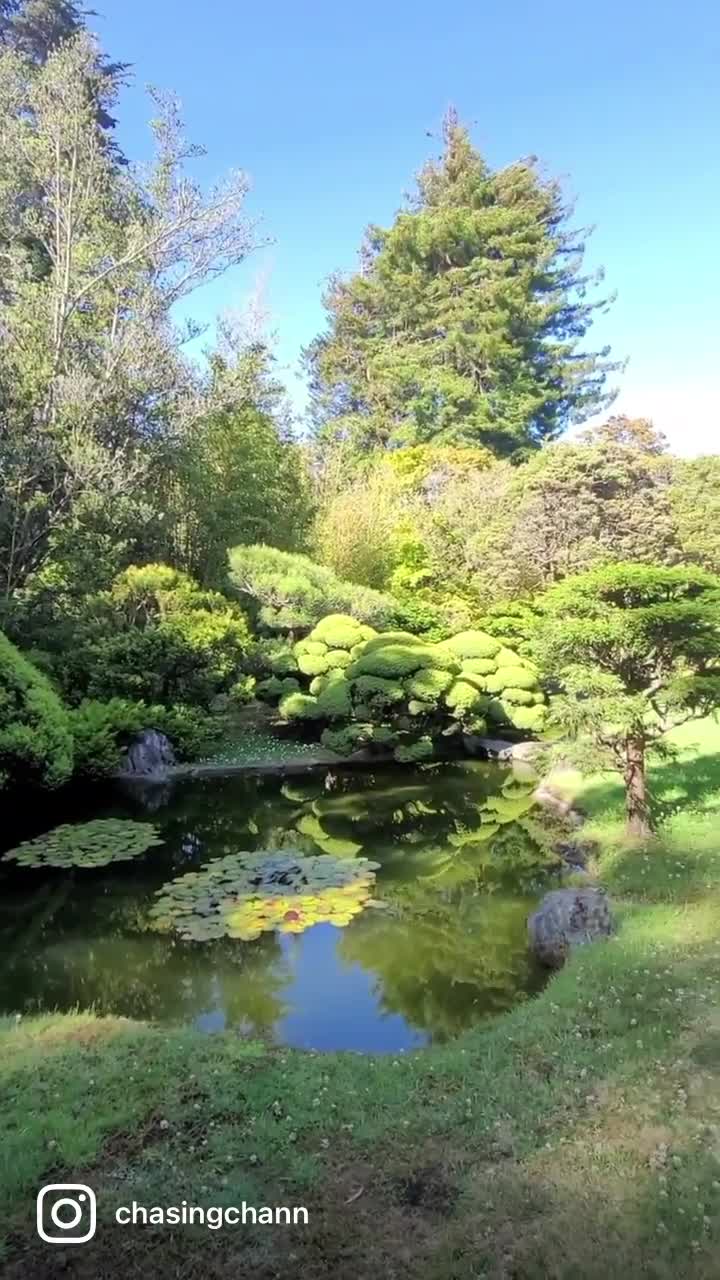 Japanese Tea Garden