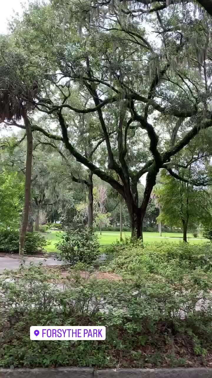 Forsyth Park Fountain