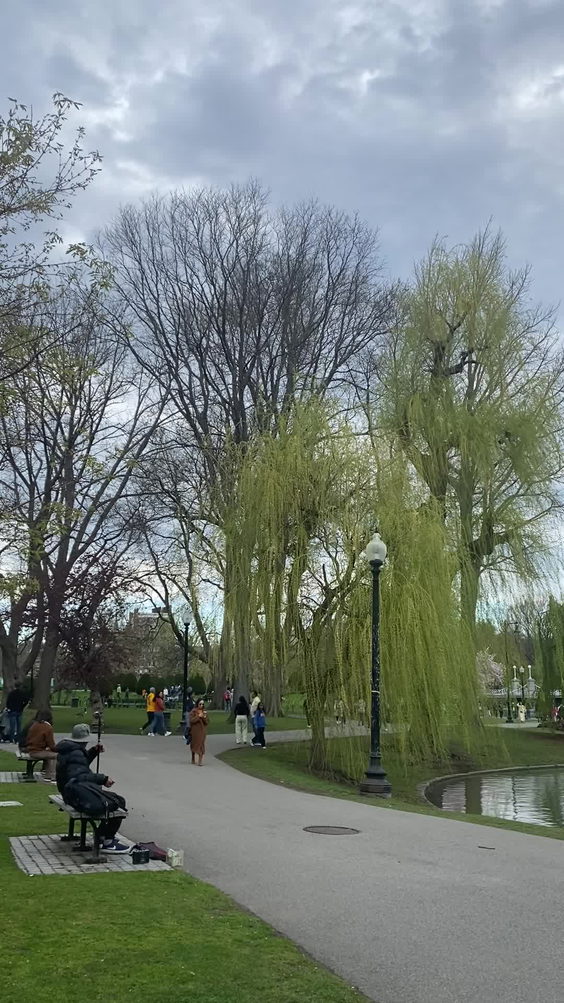 Boston Public Garden