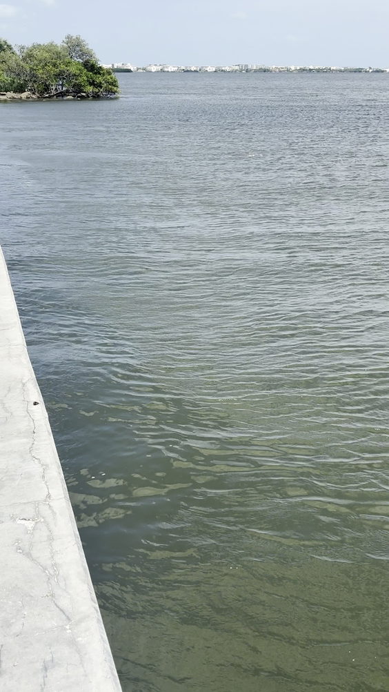 Banana River Bridge