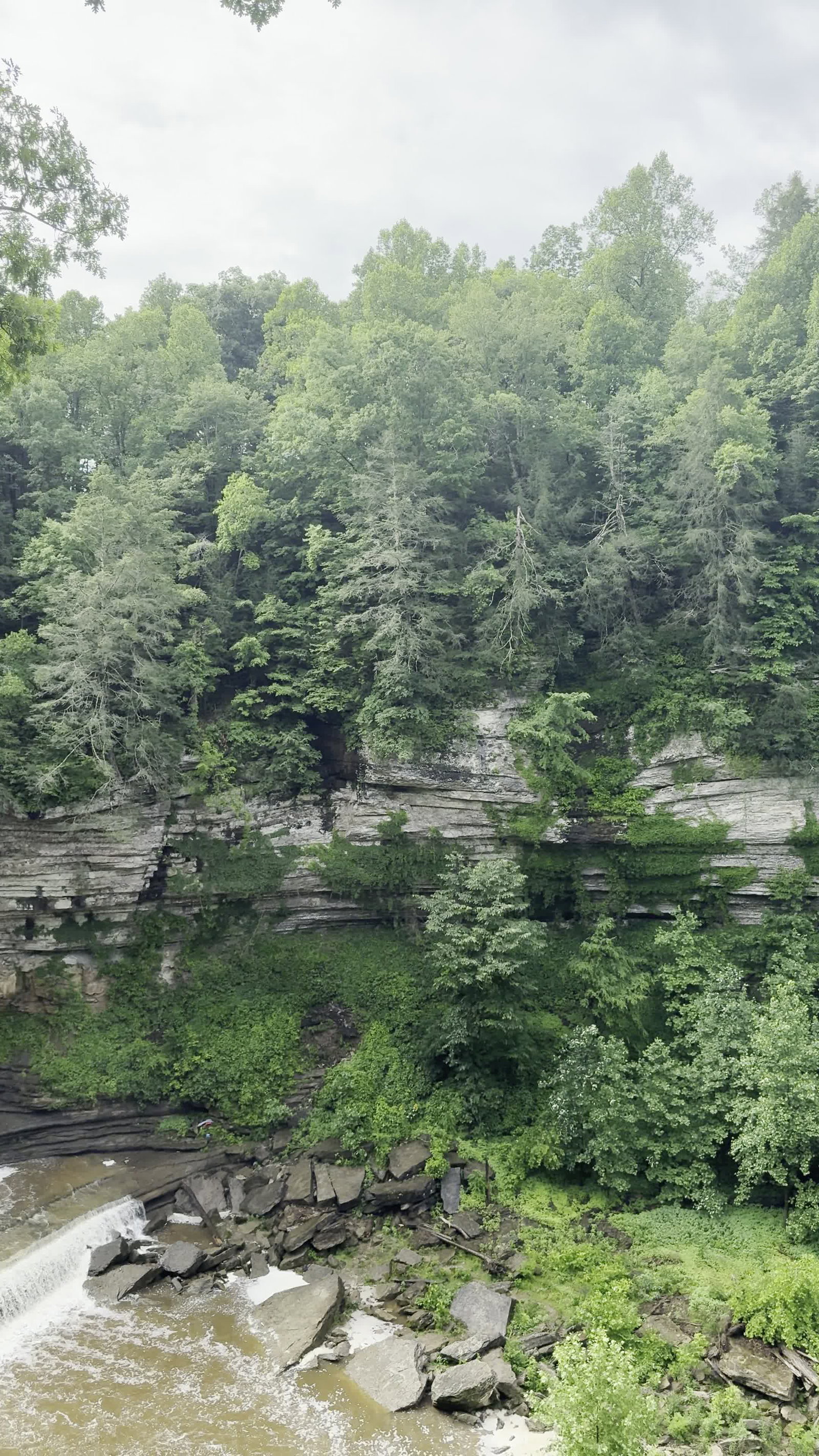 Video review of Cummins Falls State Park