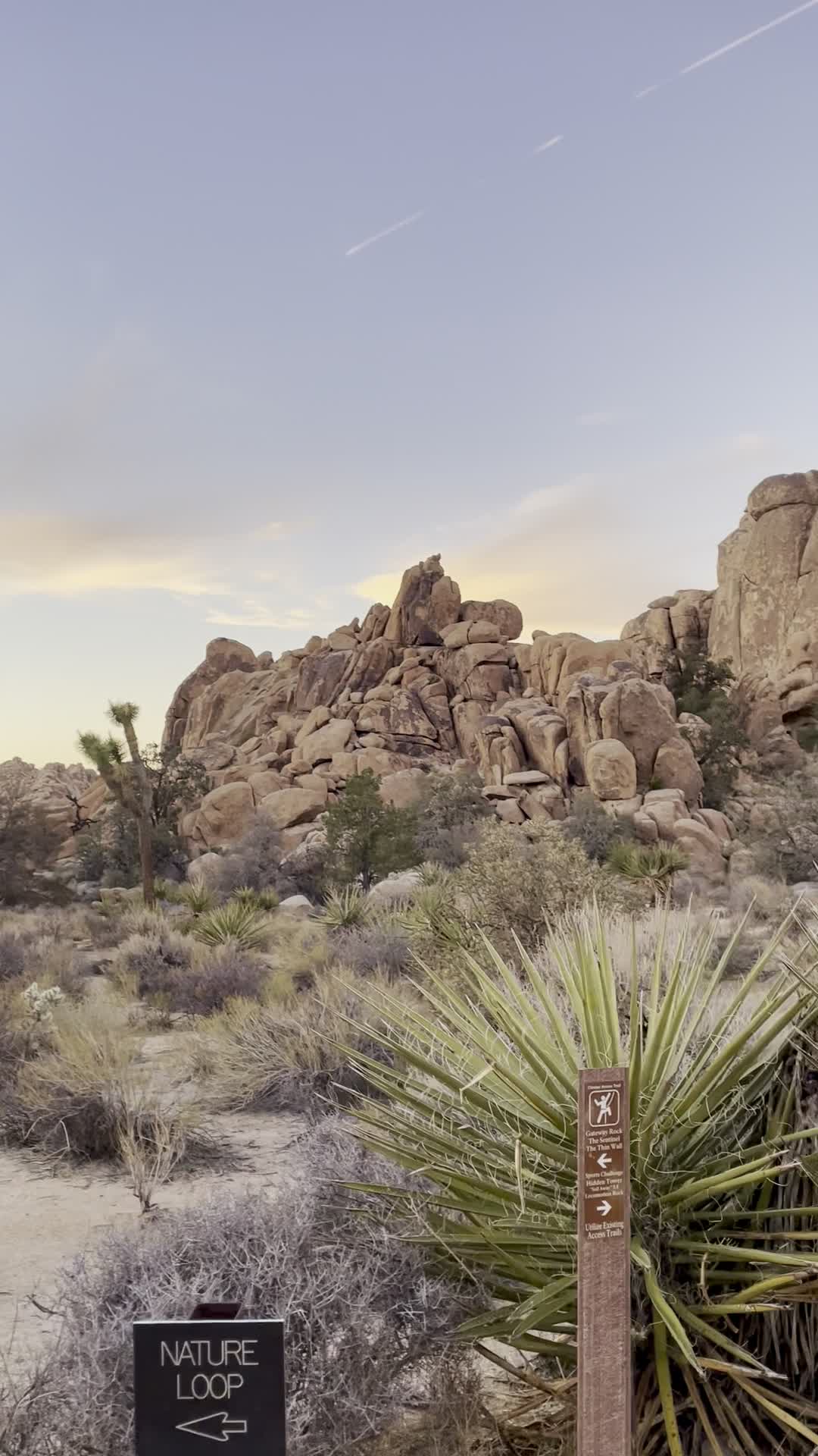 Joshua Tree Visitor Center