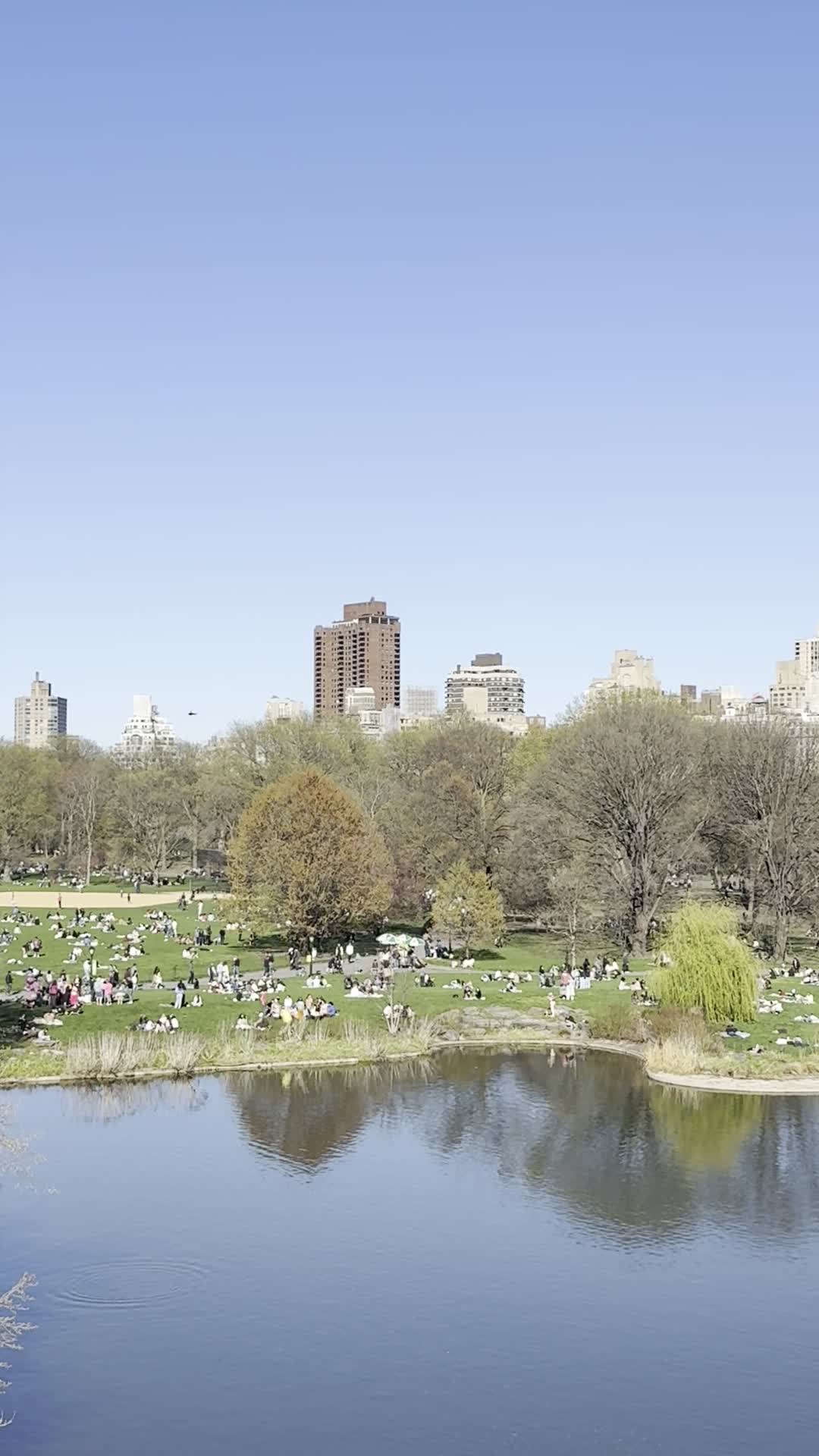 Central Park West