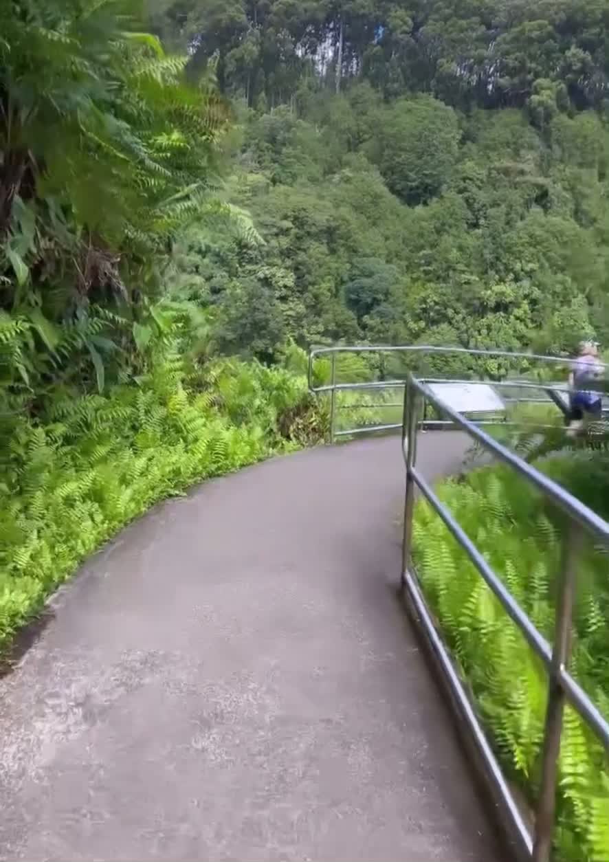 Kiholo State Park Reserve