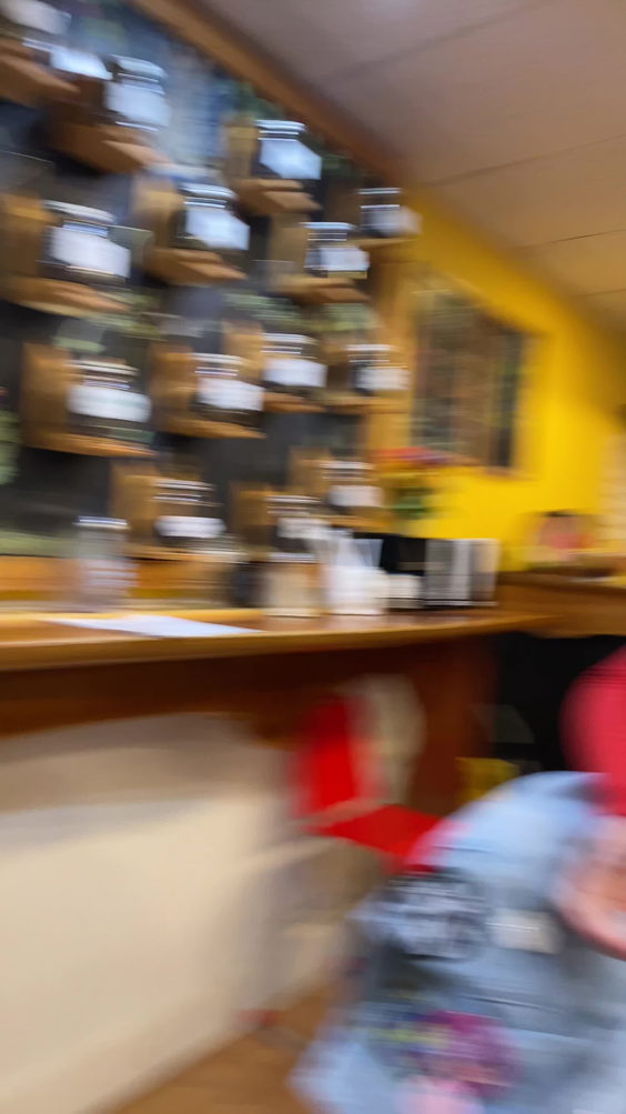 Alley Cat Cafe