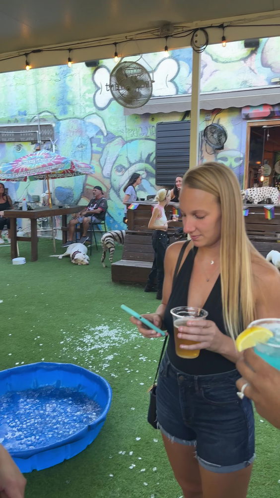 Dog Bar Saint Pete