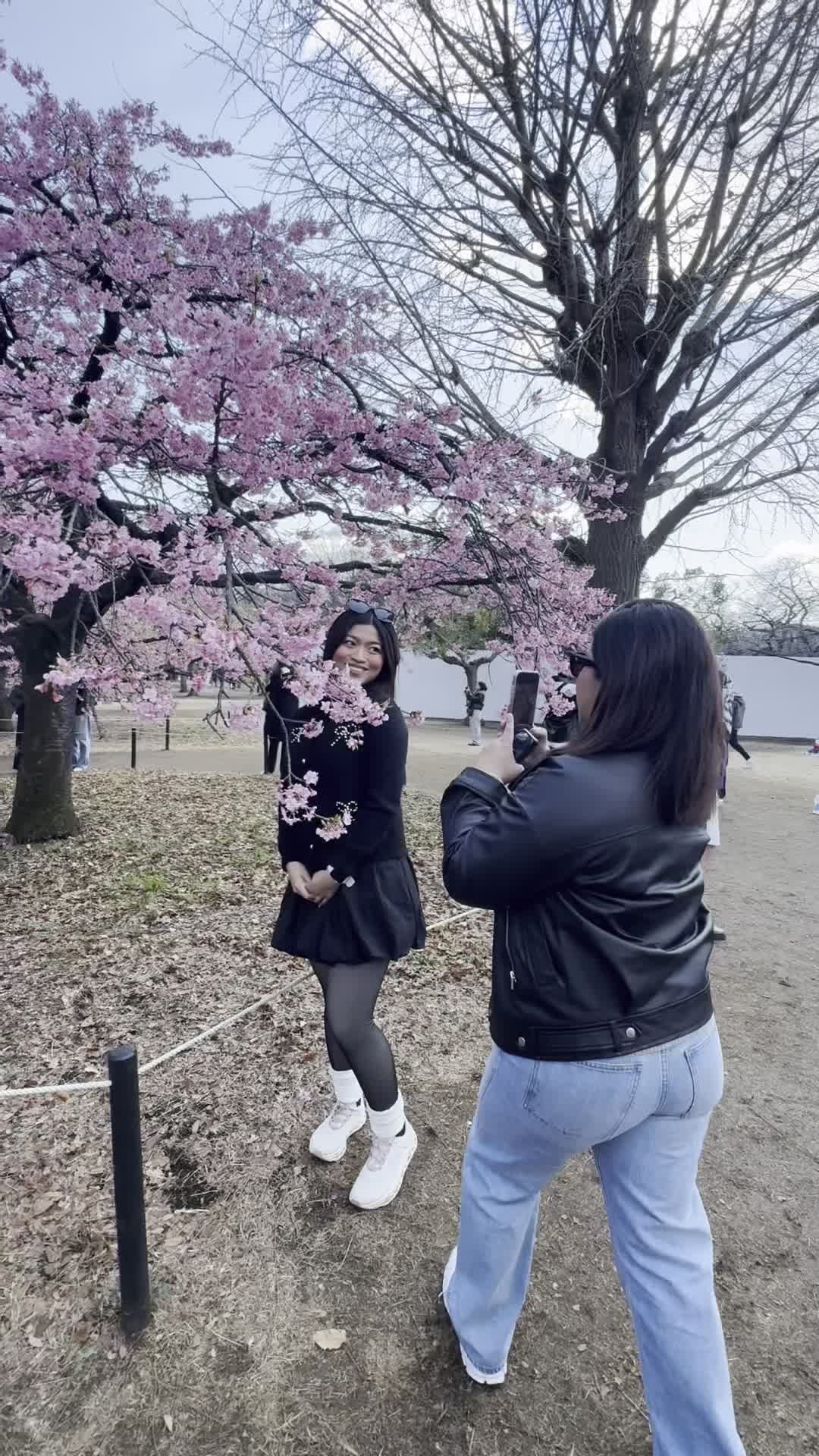 Video review of Jupiter