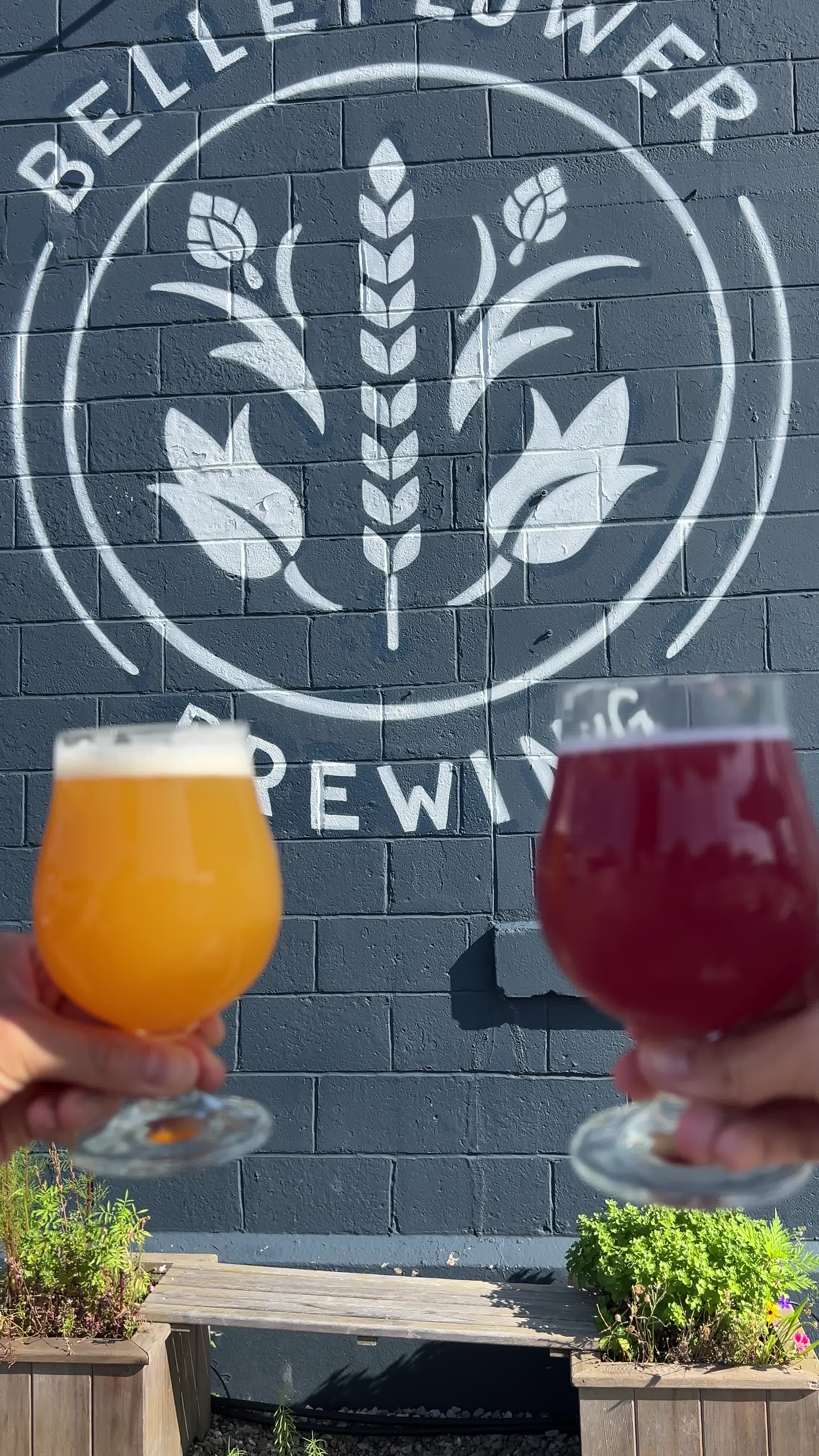 Belleflower Brewing Company