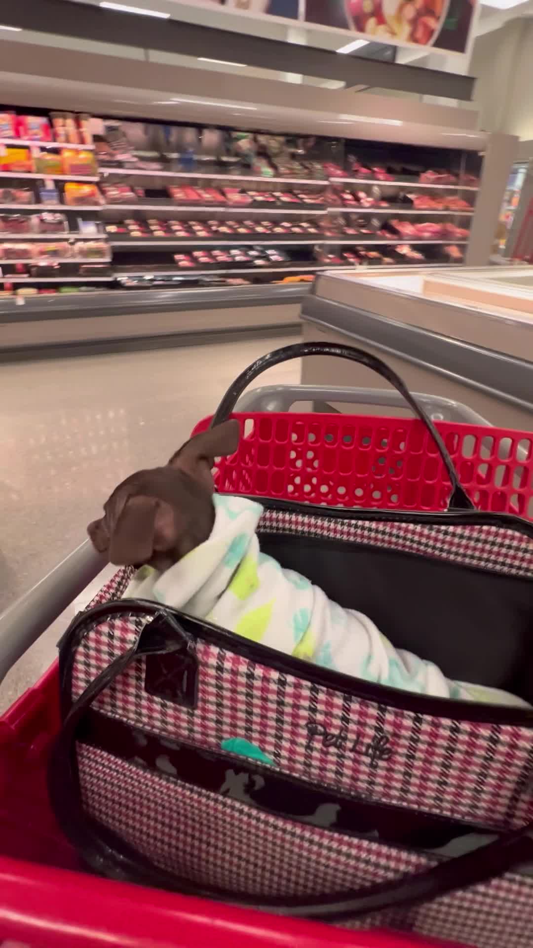 Video review of Target