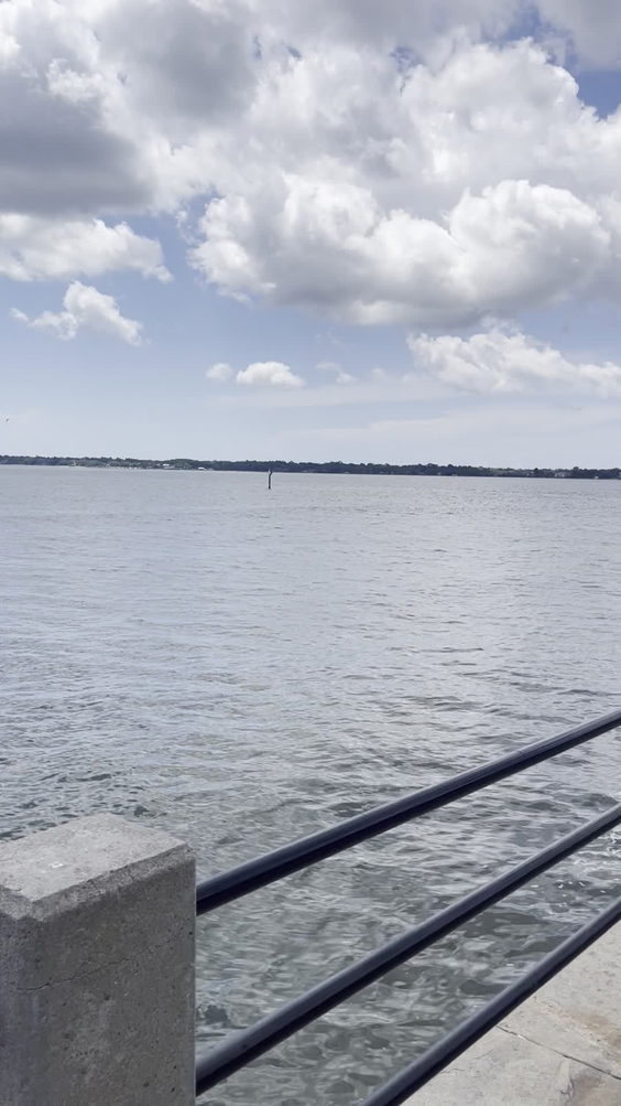 Charleston Harbor 