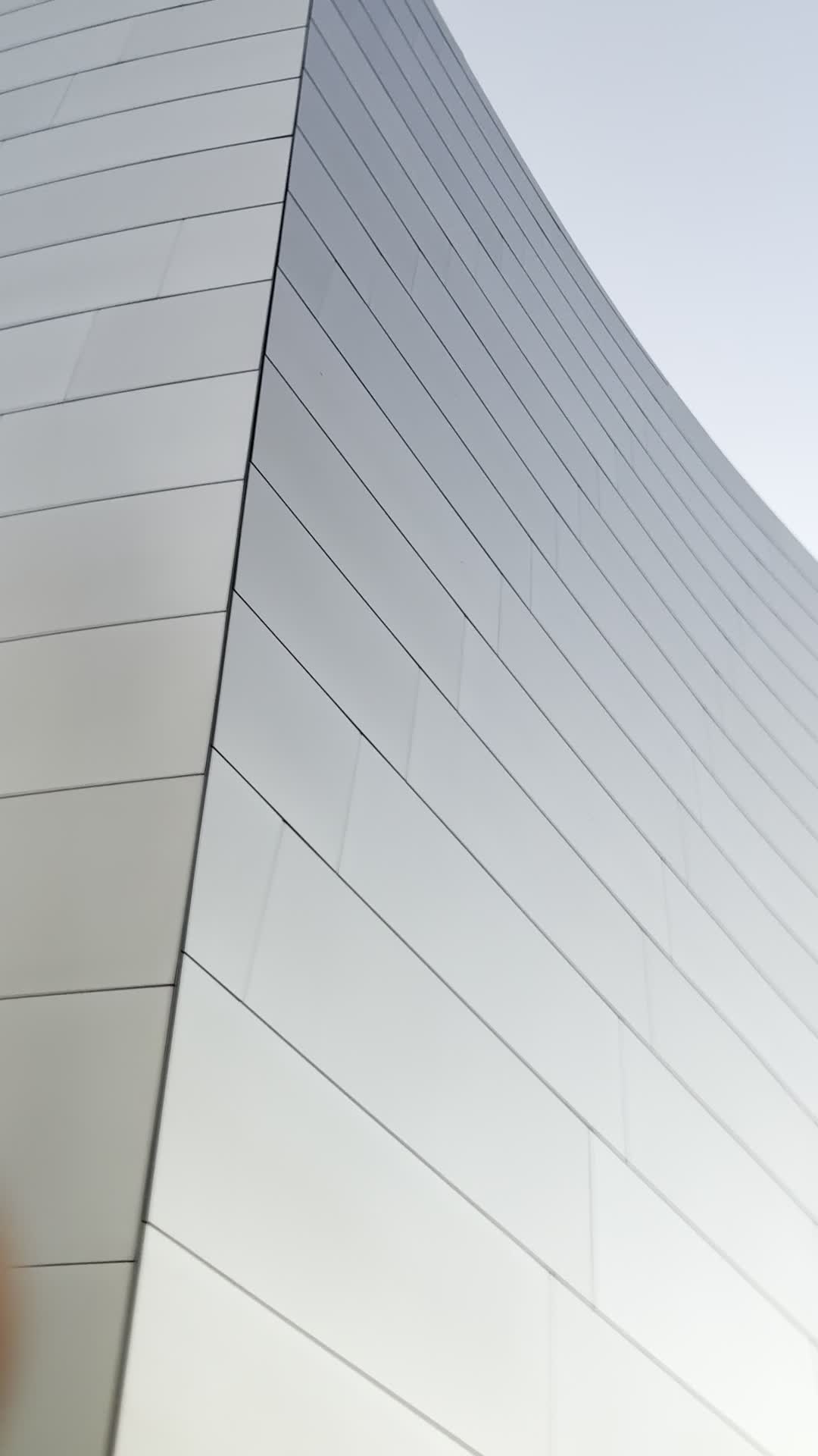 Video review of Walt Disney Concert Hall