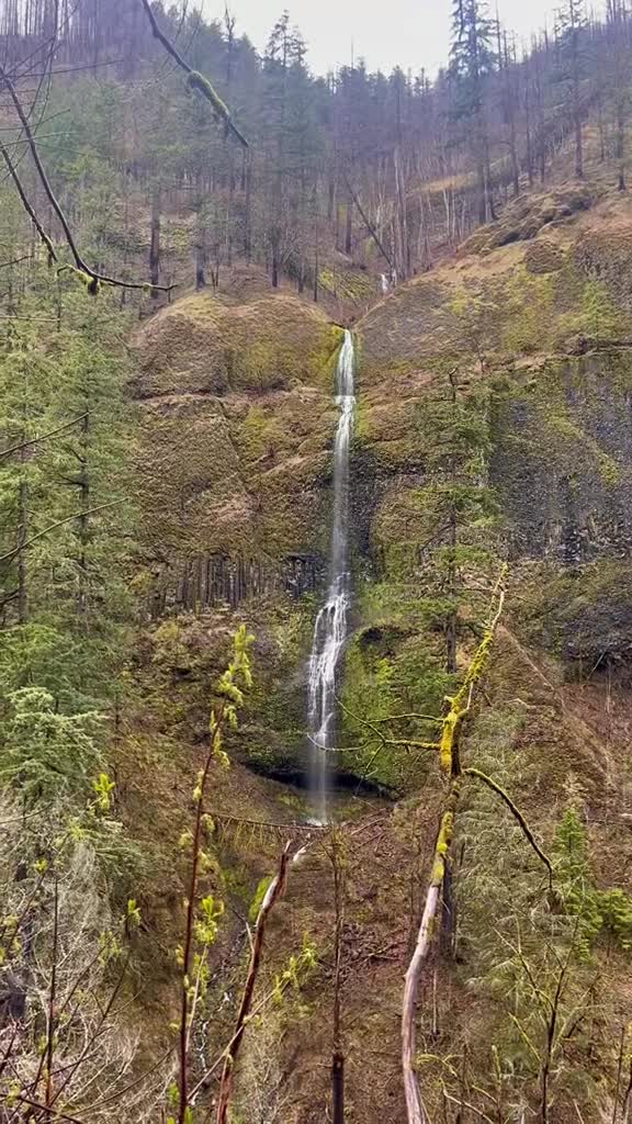 Wahclella Falls