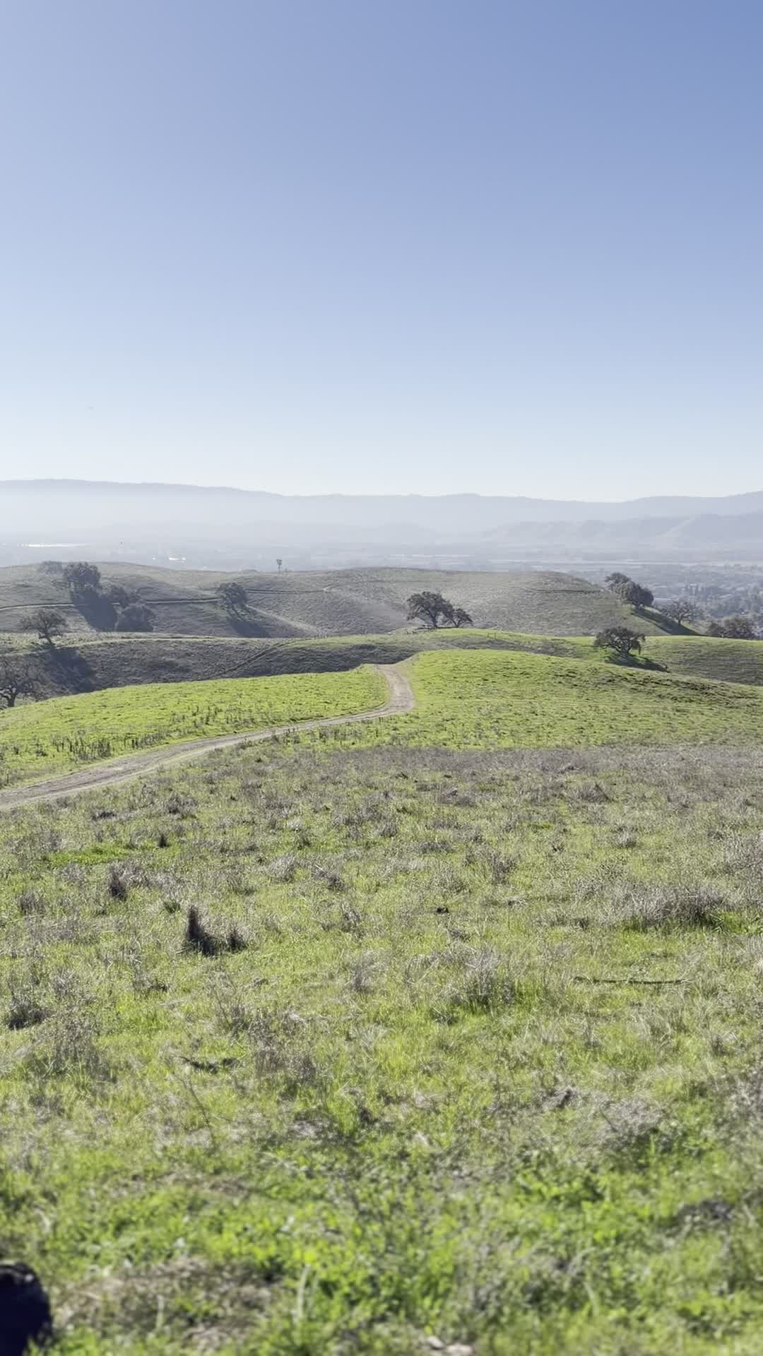 Video review of Downtown Morgan Hill