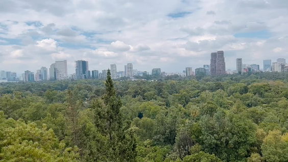 Chapultepec 540