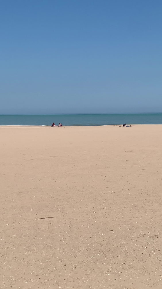 Hollywood The Gay Beach