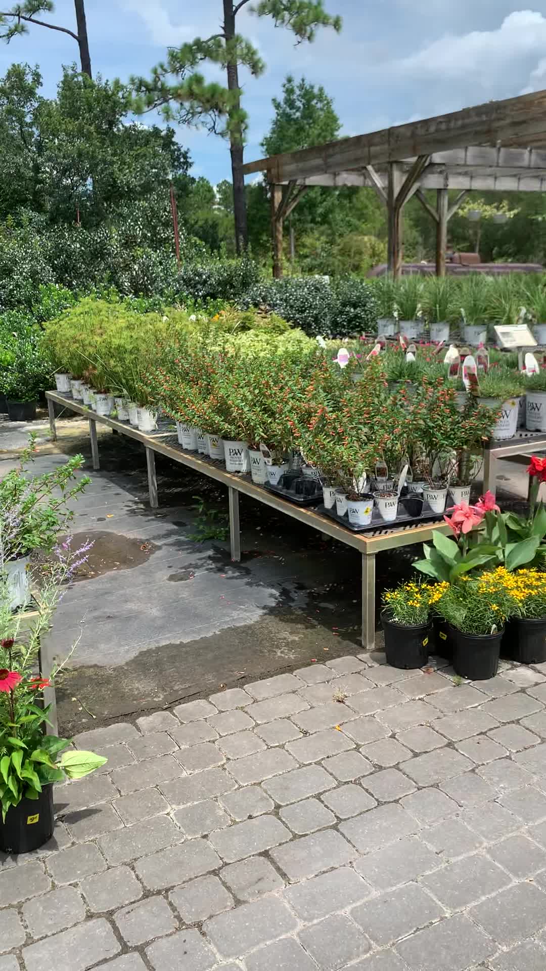 Pender Pines Garden Center