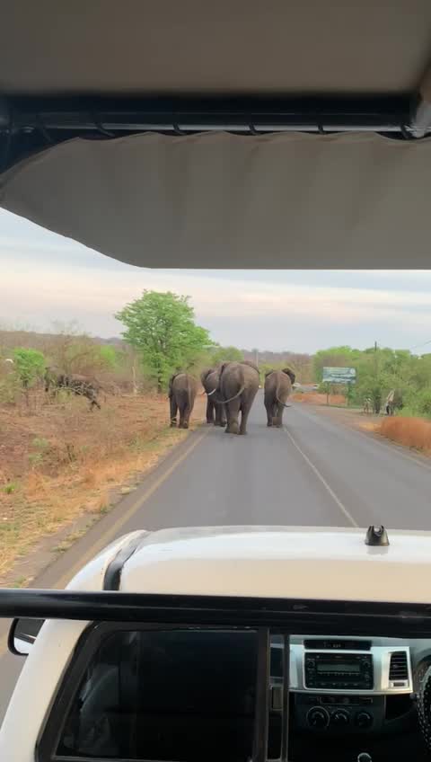 Mosi-oa-Tunya National Park