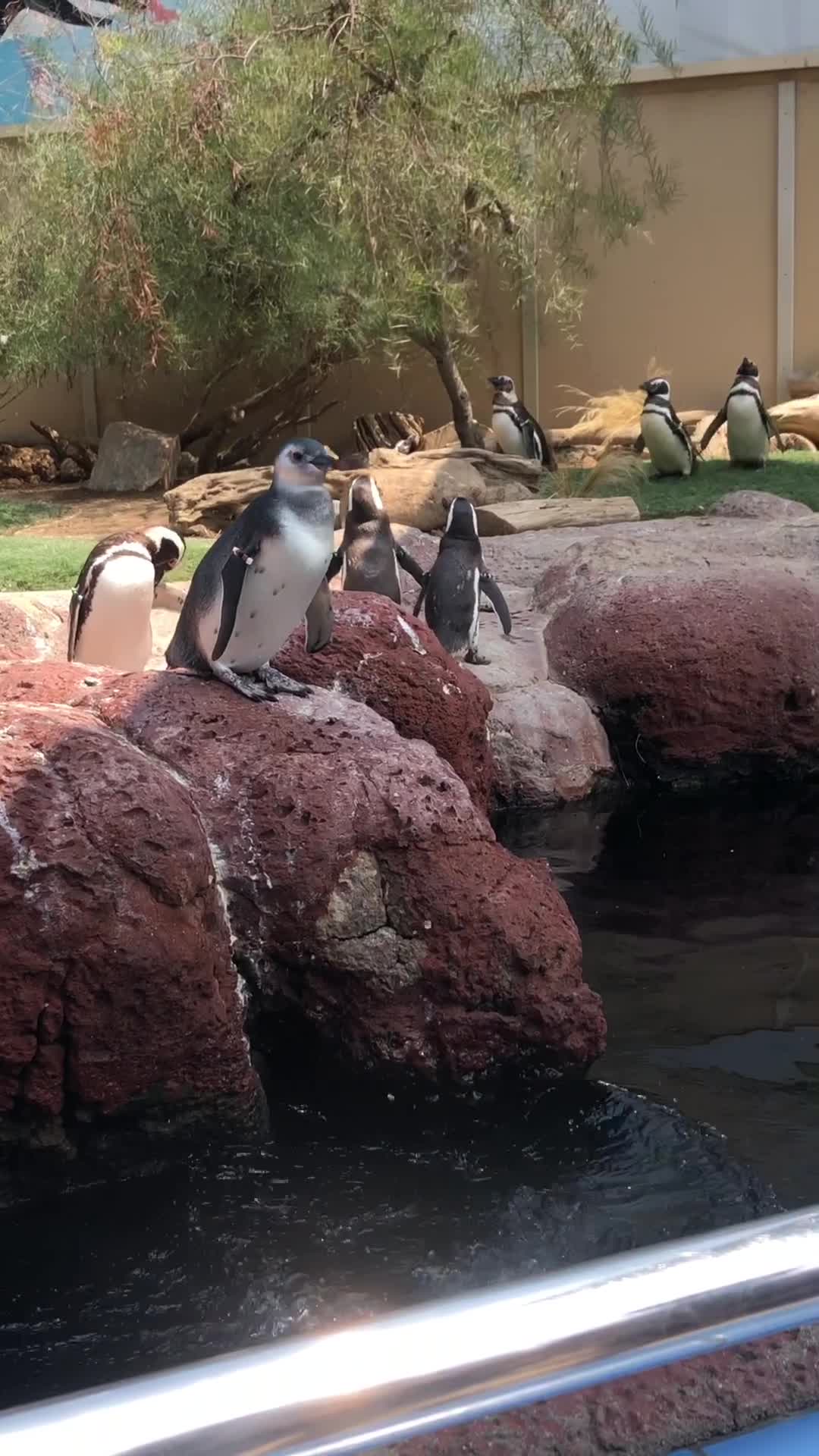 SeaWorld San Diego