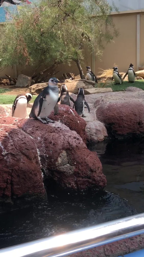 SeaWorld San Diego