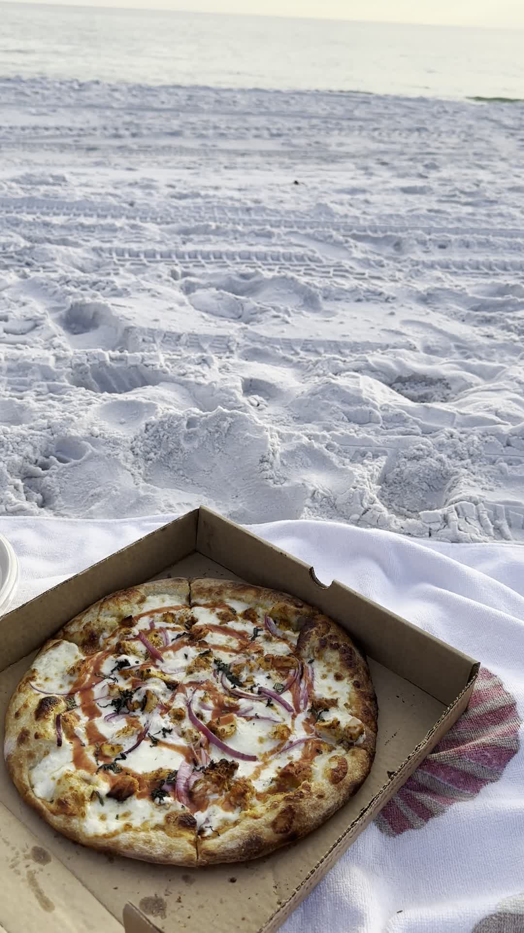 Grace Pizza Shakes Srb