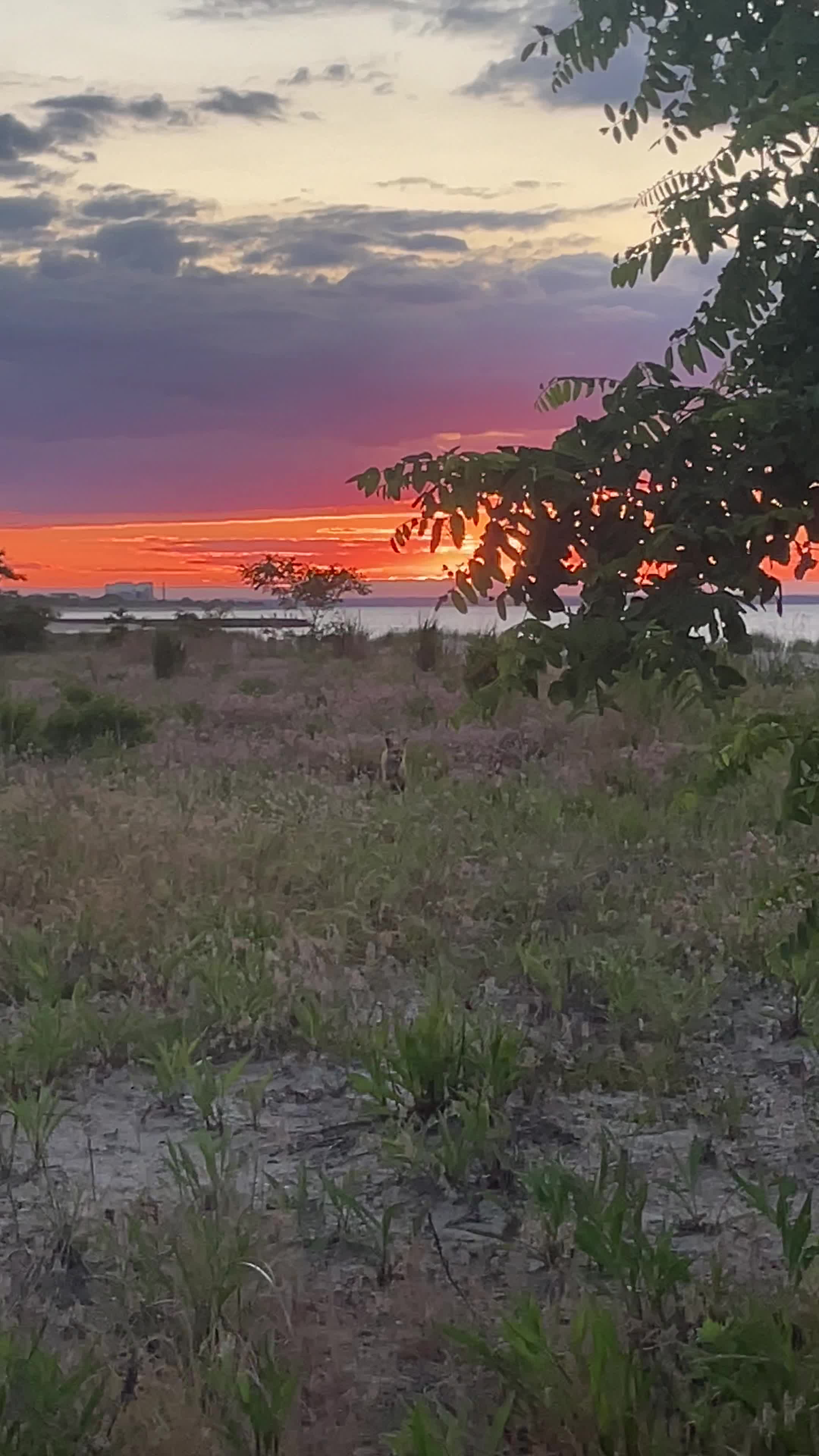 Video review of Jersey City Waterfront