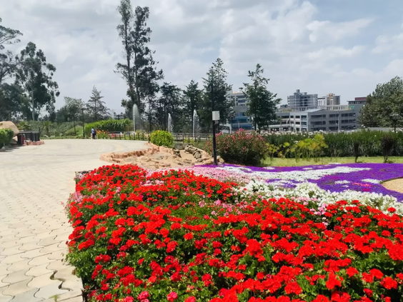 Unity Park