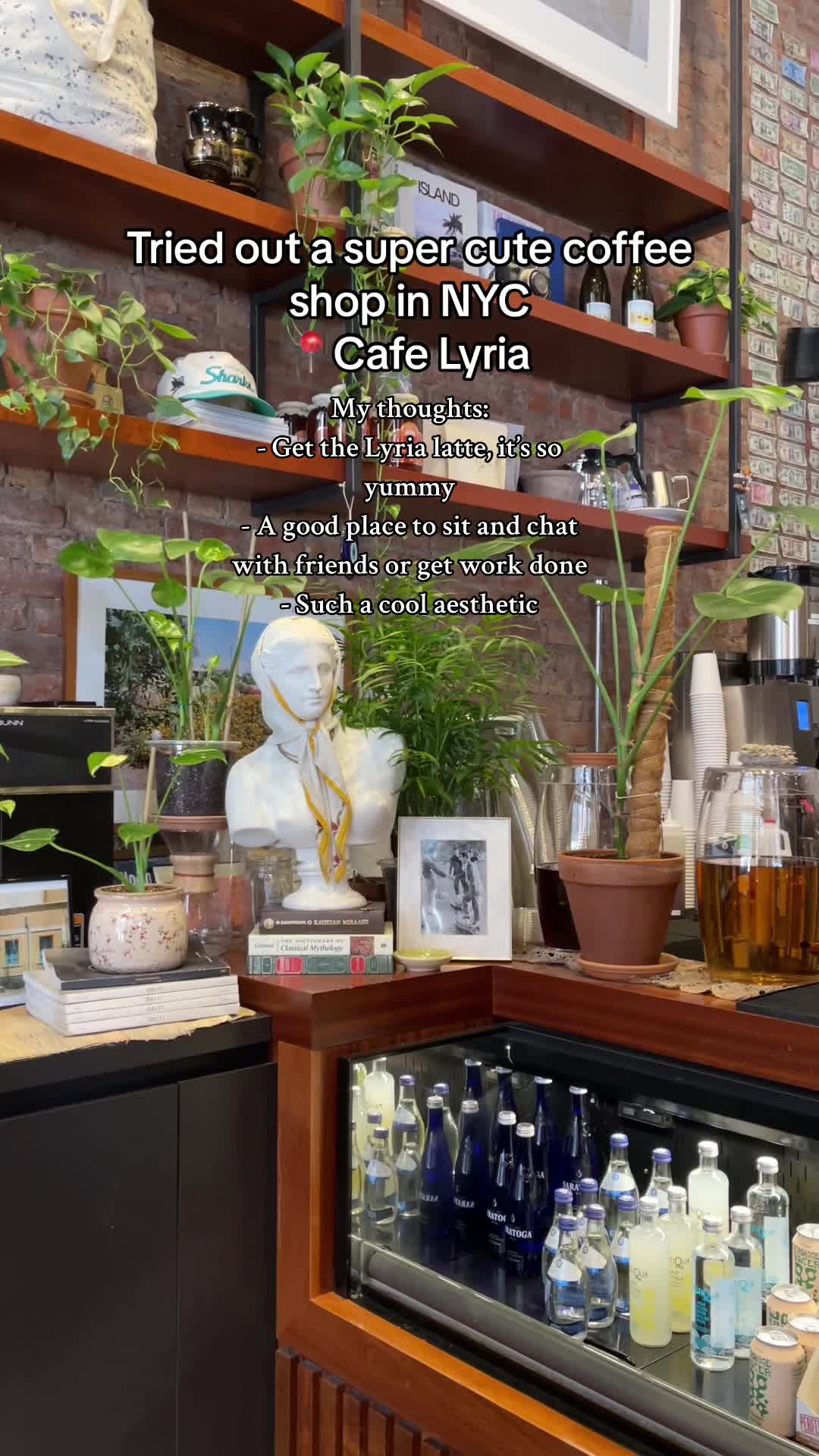 Video review of Café Lyria
