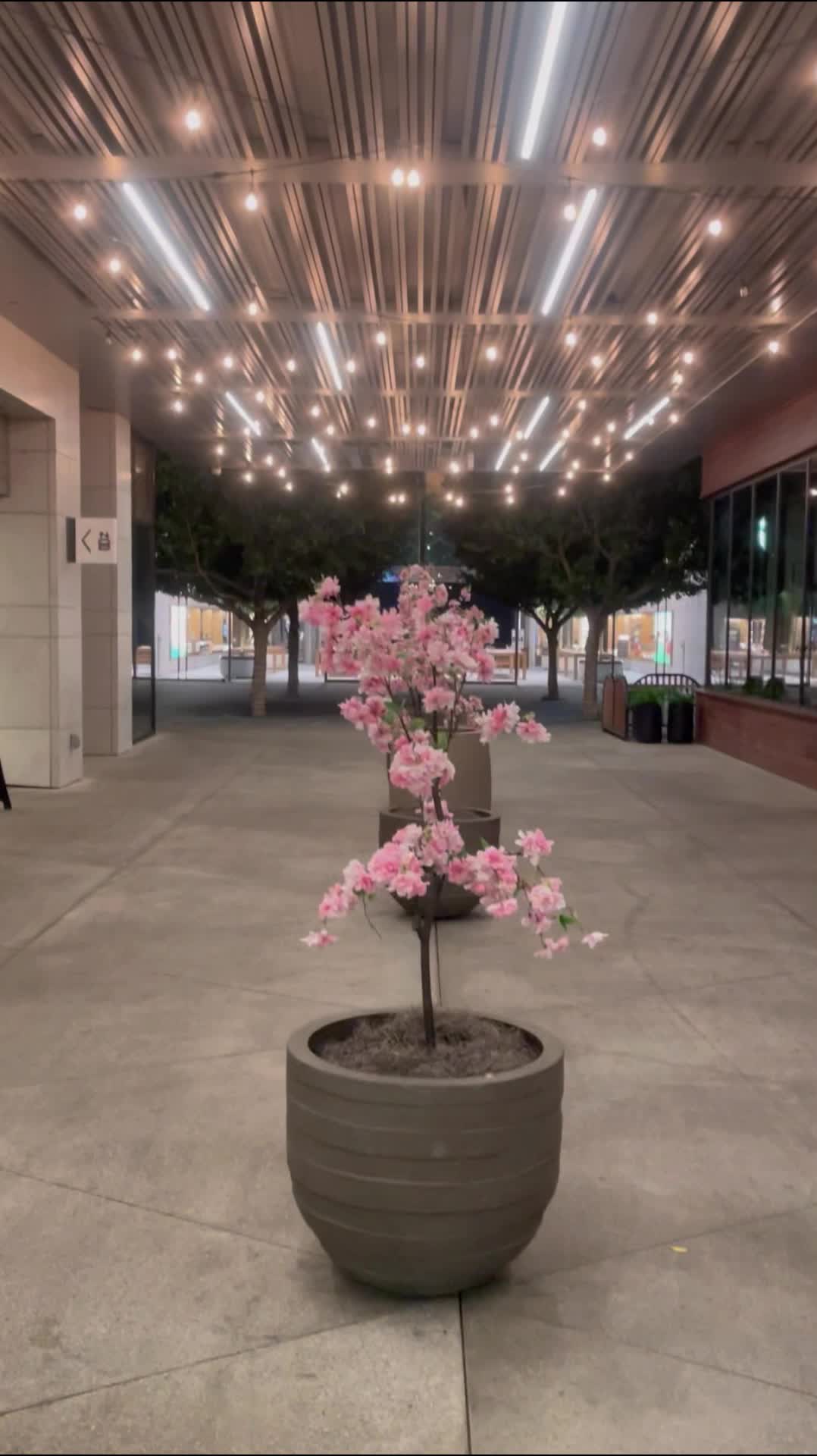 Video review of Sta clara-westfield valley fair