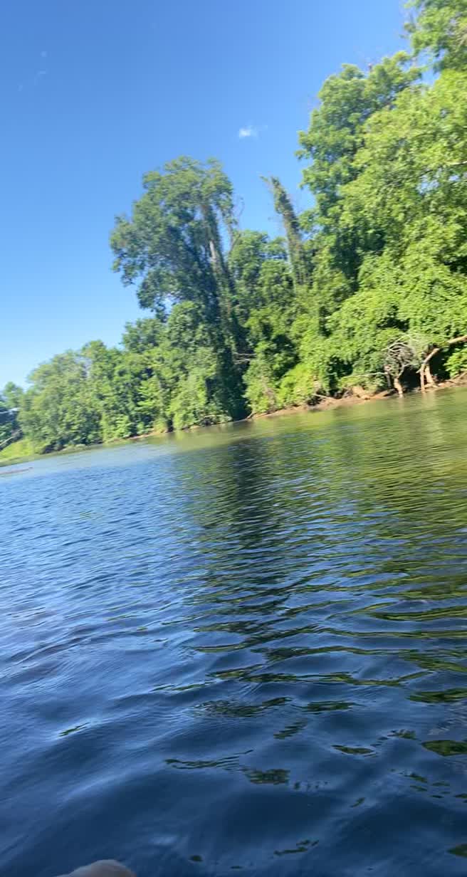 Darden Towe Dog Park