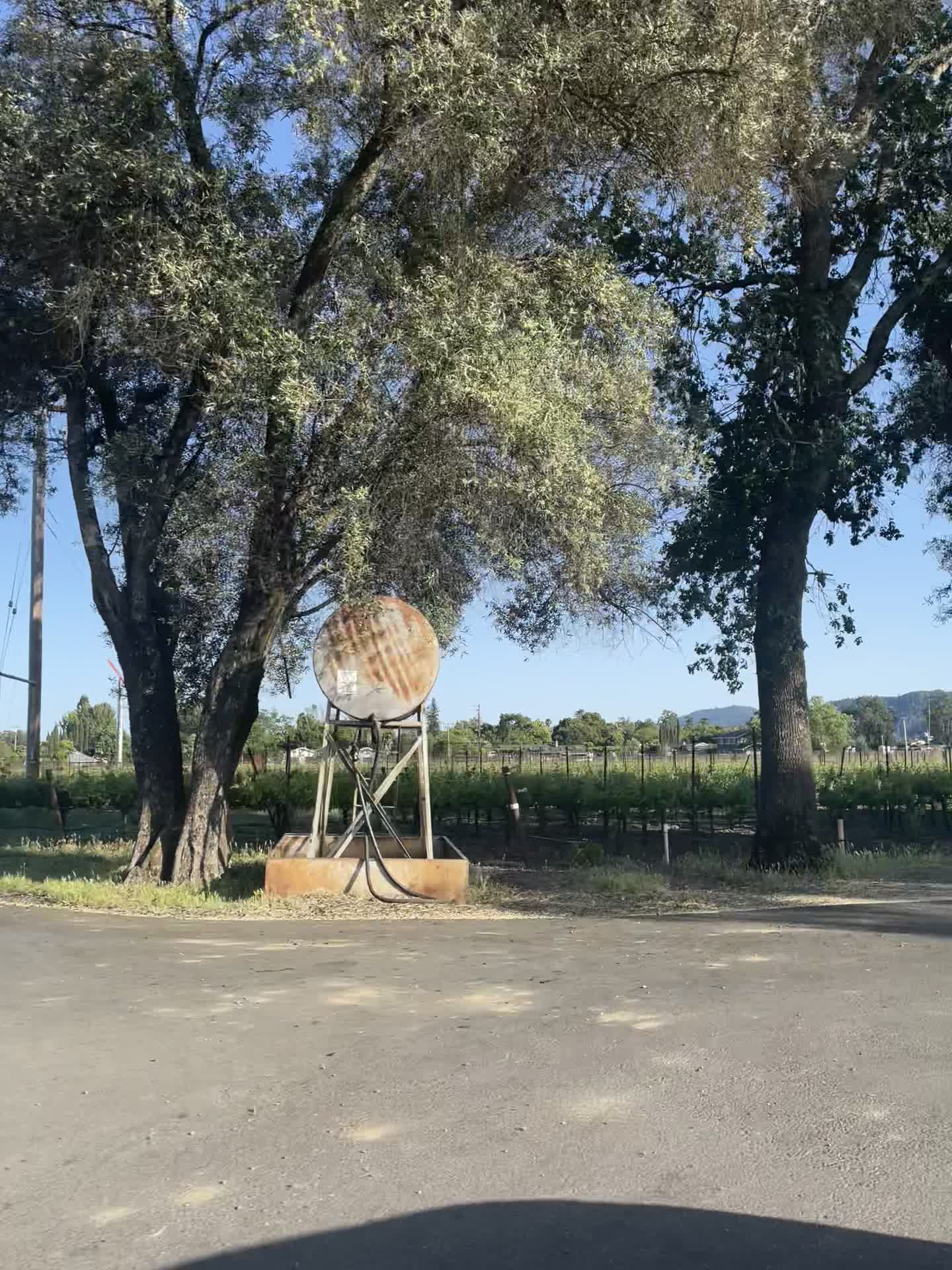 V. Sattui Winery