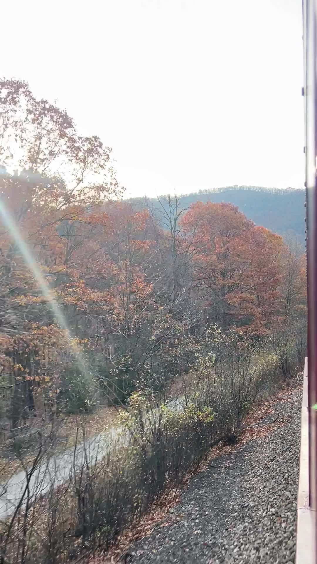 Lehigh Gorge Scenic Railway