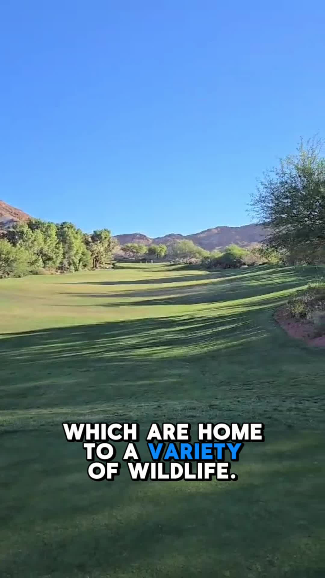 Cascata Golf