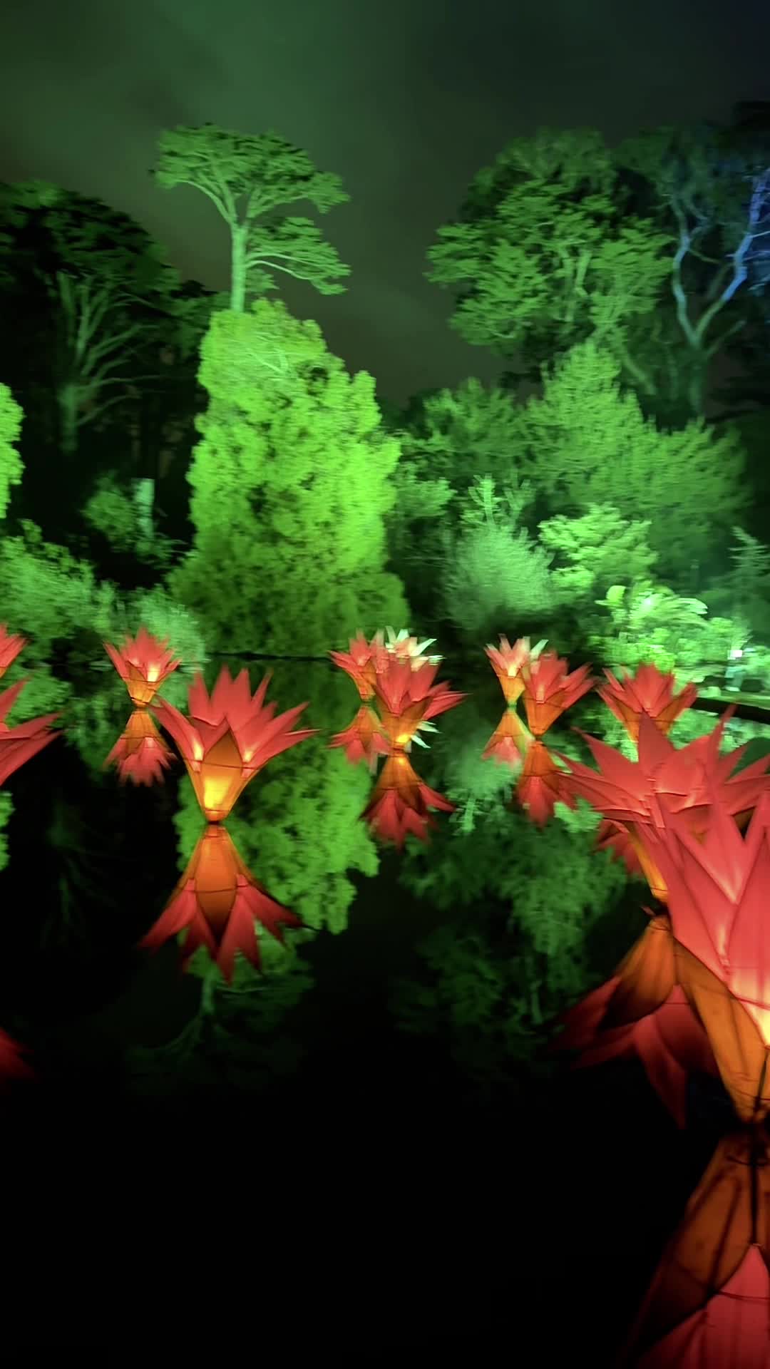 Video review of San Francisco Botanical Garden