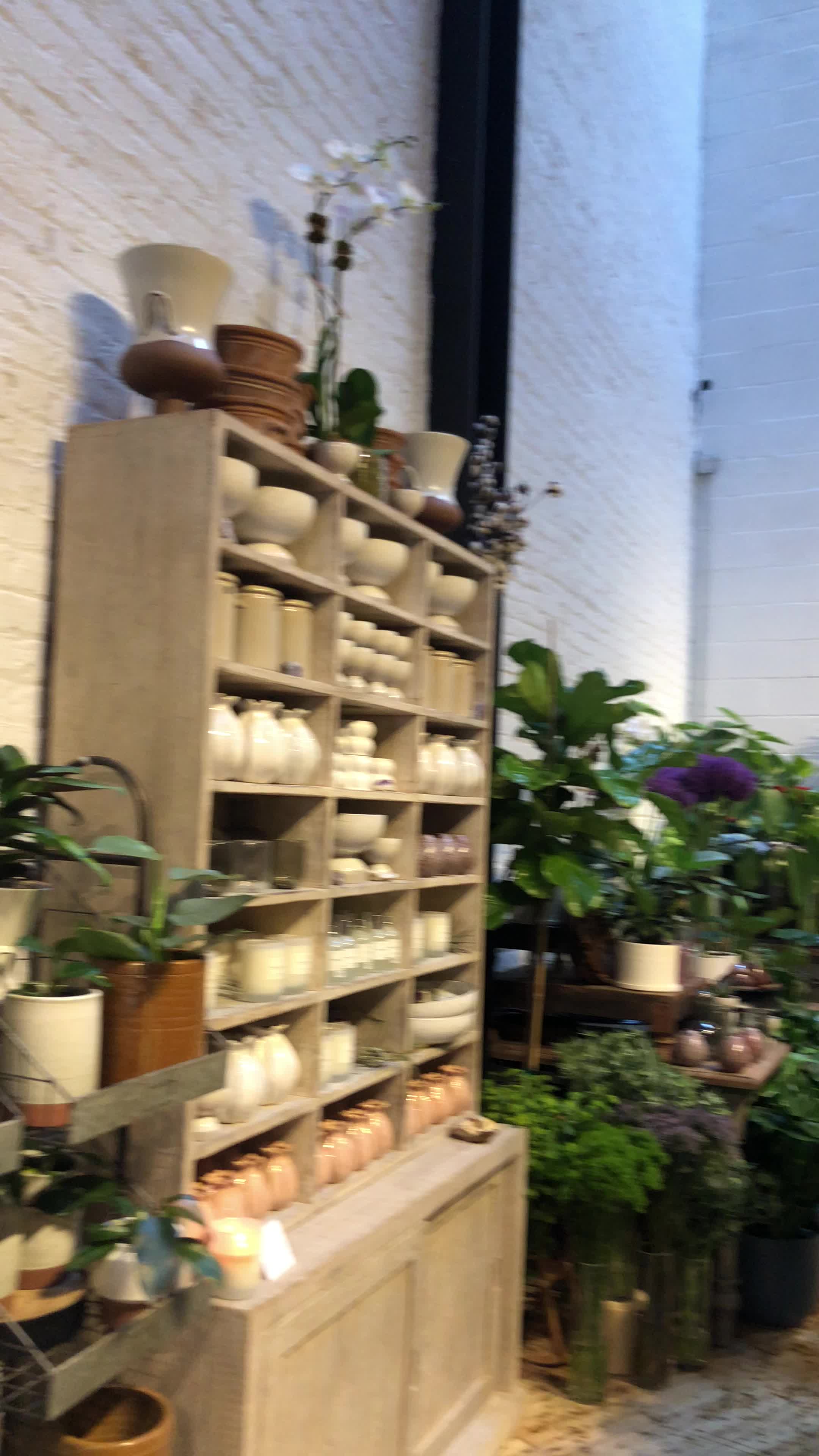 Video review of PlantShed