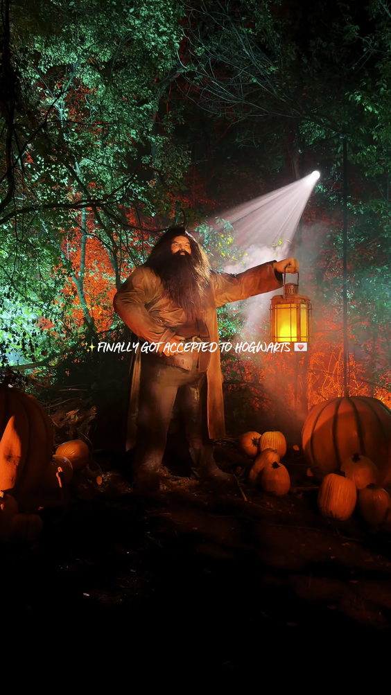 Harry Potter Forbidden Forest
