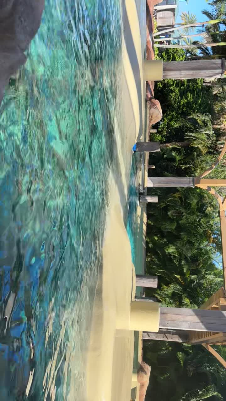 SeaWorld Orlando