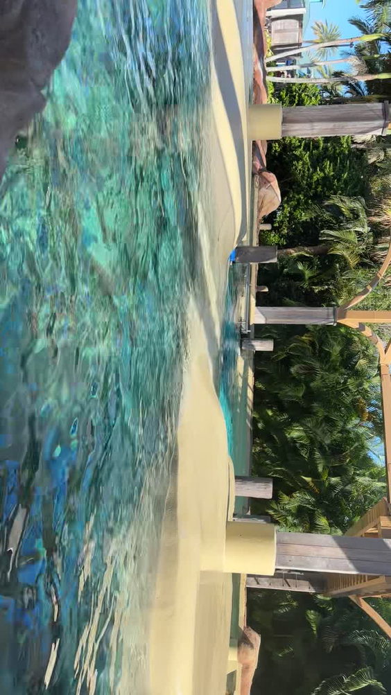SeaWorld Orlando