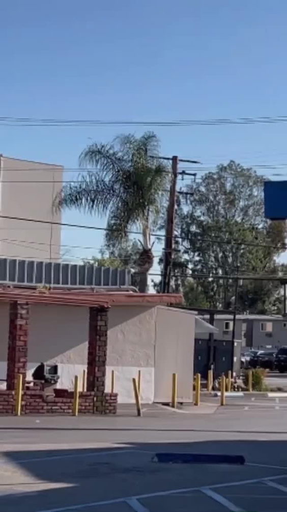 Pepe's Finest Mexican Food